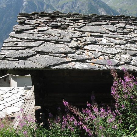 Alpia 26 - Zwei Zimmerwohnung In Traditionellem Walliser Haus 卡森里德 外观 照片