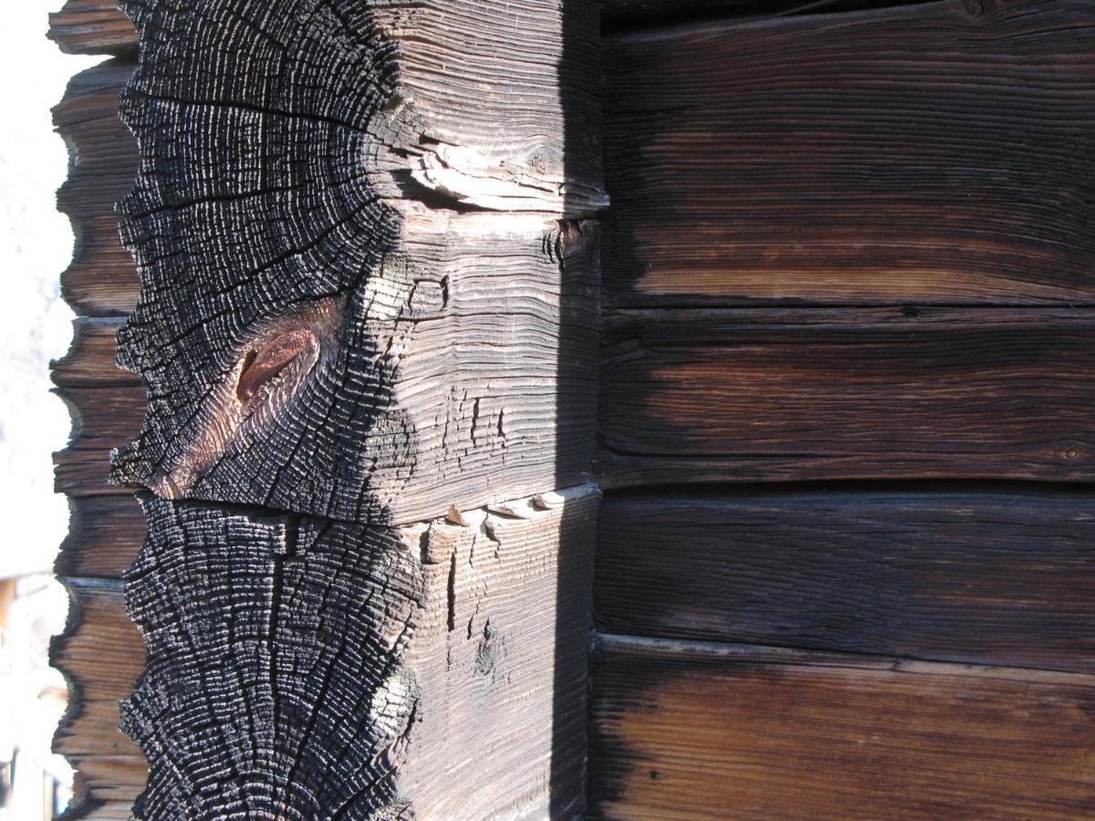 Alpia 26 - Zwei Zimmerwohnung In Traditionellem Walliser Haus 卡森里德 外观 照片